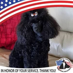 Meet your Posher, Sharon